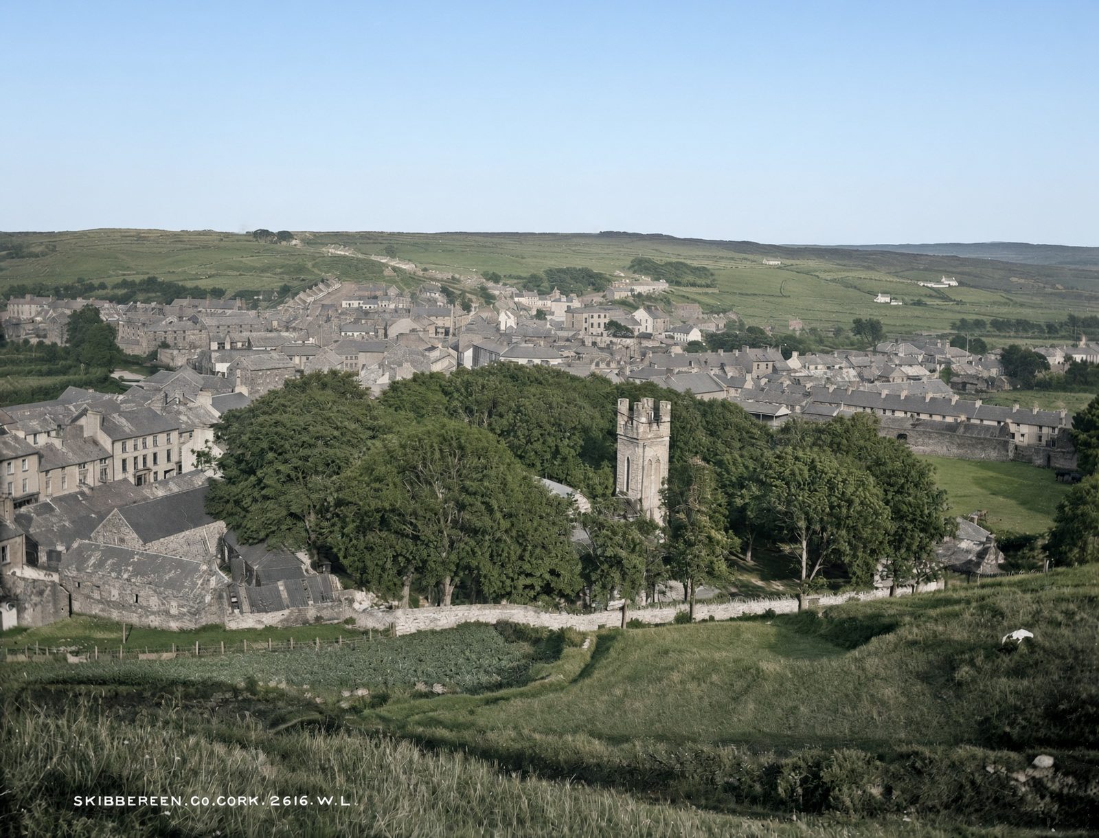 Skibbereen seen from the hill above, with slate roofs, trees and a church tower.